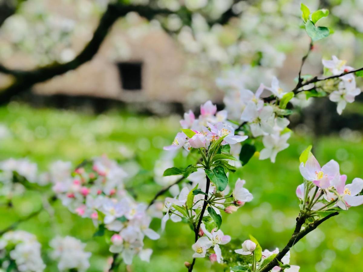 Villersexel Manoir Saint-Pierre B&B 외부 사진