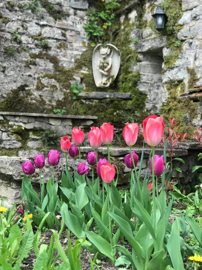 Villersexel Manoir Saint-Pierre B&B 외부 사진
