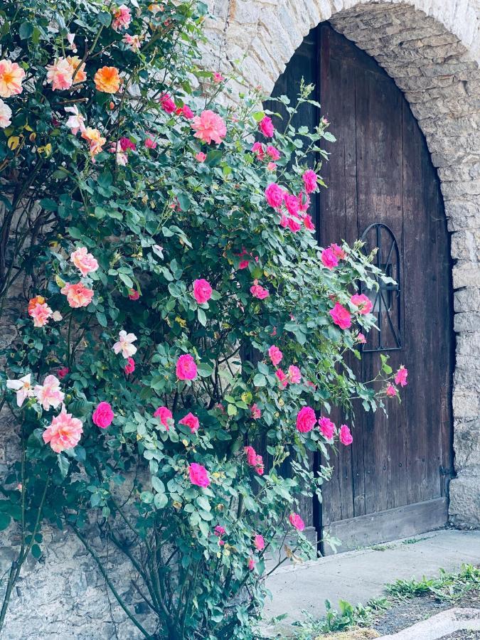 Villersexel Manoir Saint-Pierre B&B 외부 사진